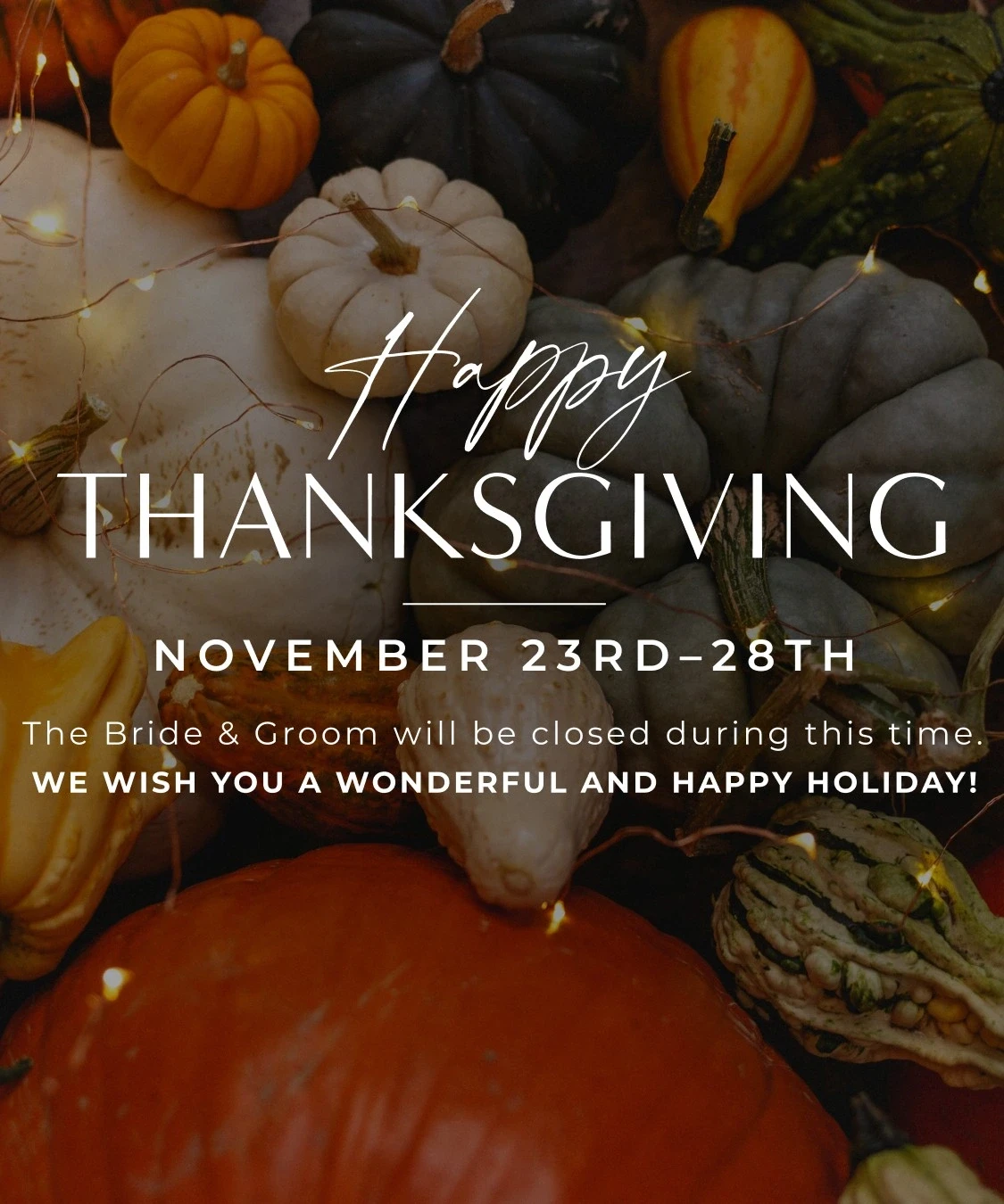 Thanksgiving mobile banner, with pumpkins on the background